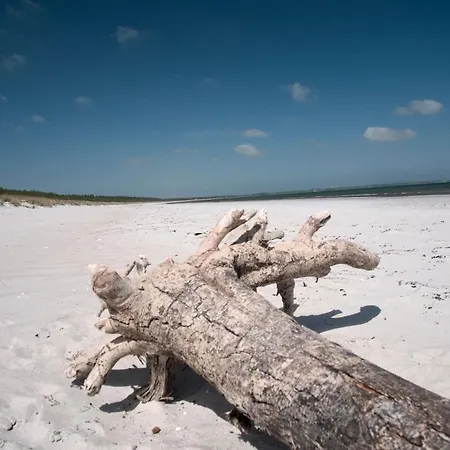 Apartmán Gemuetliche In Hafennaehe - Fewos Am Hochzeitsberg 08 *