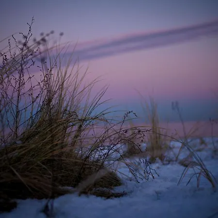 Gemuetliche In Hafennaehe - Fewos Am Hochzeitsberg 08 アパート ブレーゲ